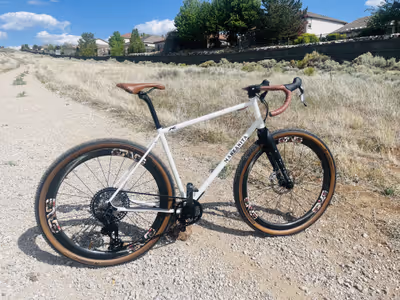 Andrew's white and black Whippet