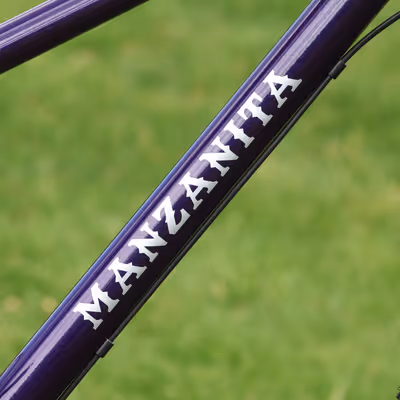 Manzanita graphic in silver