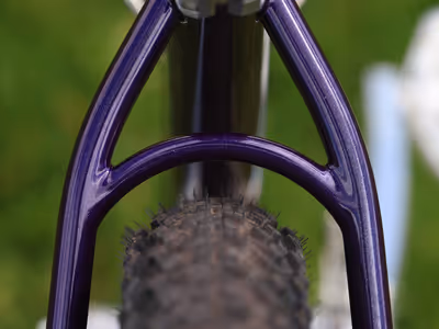 Manifesto seatstays with arched bridge