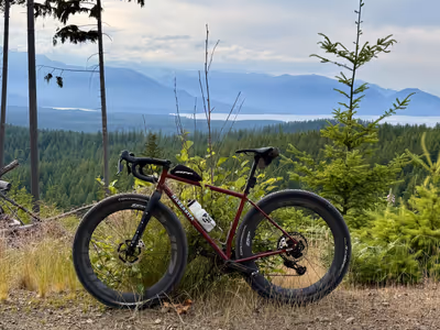 Ward's Whippet with a beautiful view of Washington