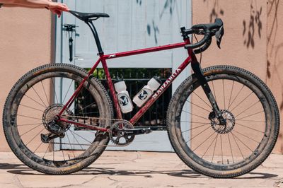 whippet steel gravel race bike