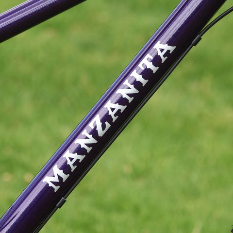 Manzanita graphic in silver