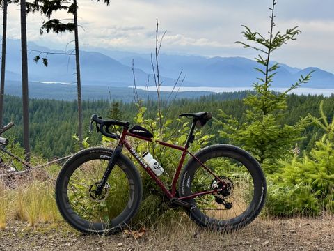 Ward's Whippet with a beautiful view of Washington